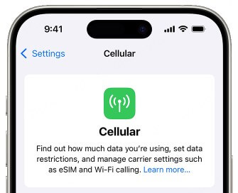 turn off cellular date to freeze your location on find my