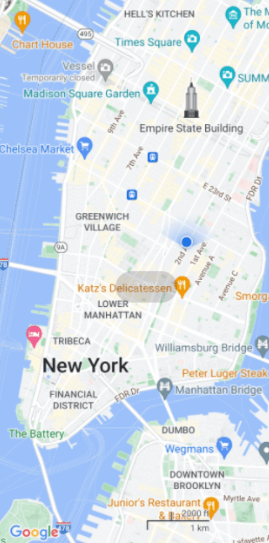 check location google map