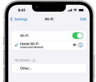 check iphone network connectivity