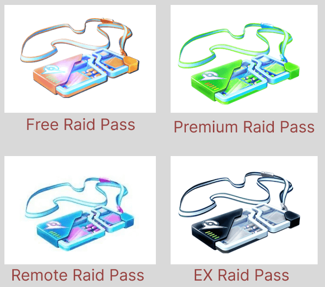 four types of raid pass