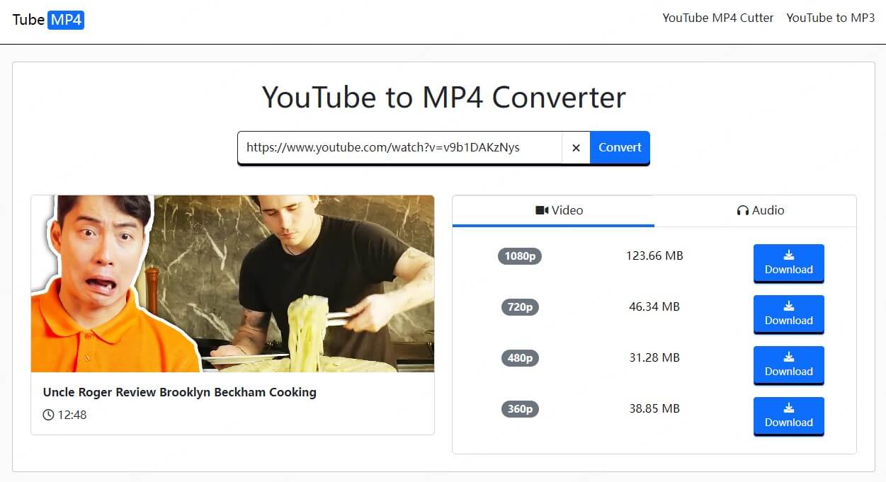 youtube video to pc downloader tubemp4