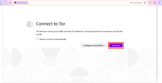 tor browser connect