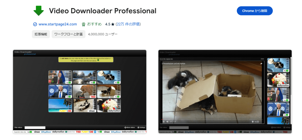 Video Downloader professional